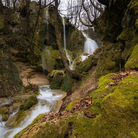 1br In The Center With Free Street Parking And Designated Workspace * 플로브디프