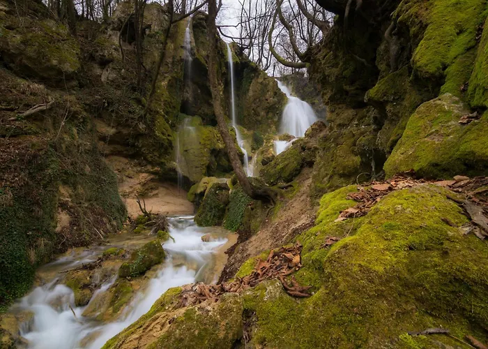 1br In The Center With Free Street Parking And Designated Workspace * 플로브디프