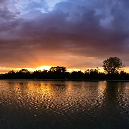 1br In The Center With Free Street Parking And Designated Workspace *